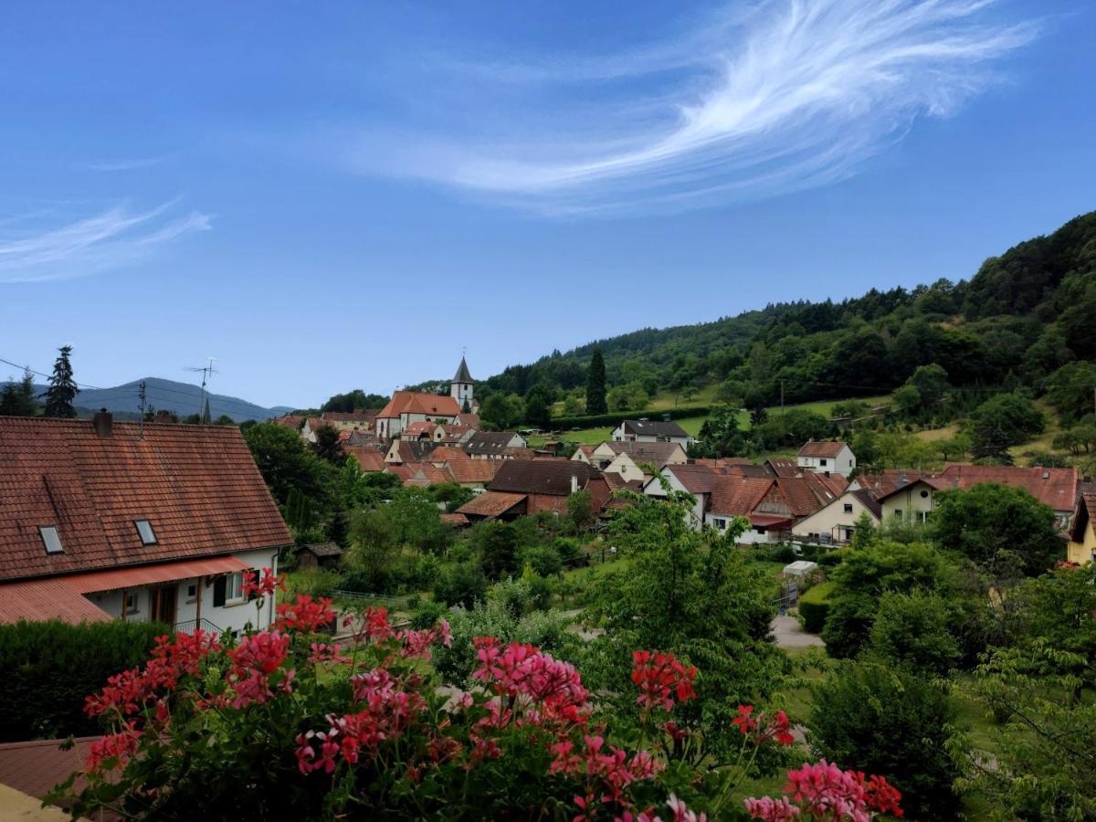 Hotel Dernbachtal Dernbach  Dış mekan fotoğraf